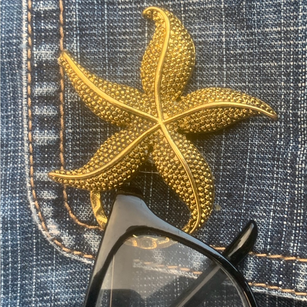 EYEGLASS or SUNGLASSES HOLDER Attaches to Outfit With 2 Strong Magnets: StarFish